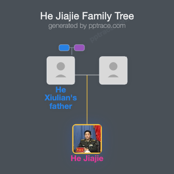 He Jiajie family tree overview