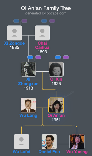 Qi An'an family tree overview