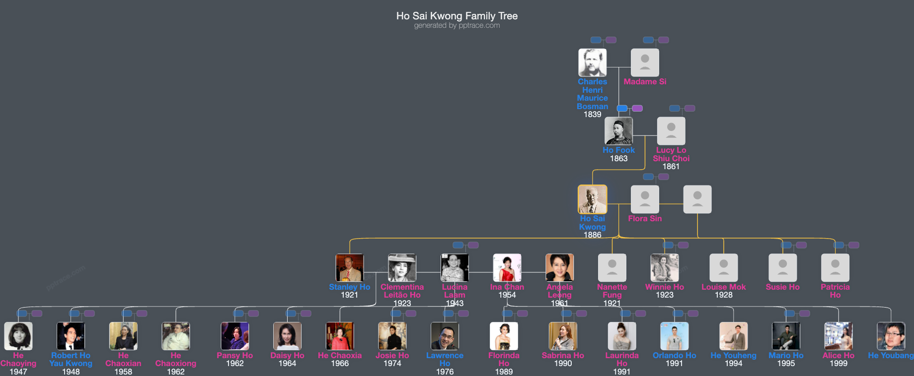 Ho Sai Kwong family tree overview