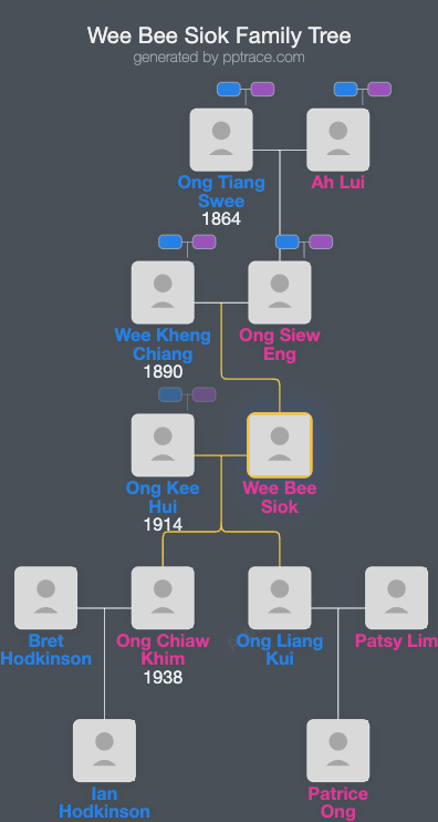 Wee Bee Siok family tree overview
