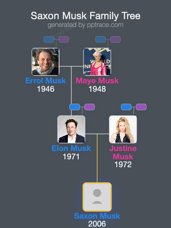 Saxon Musk family tree overview