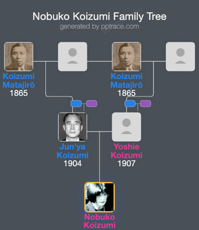Nobuko Koizumi family tree overview