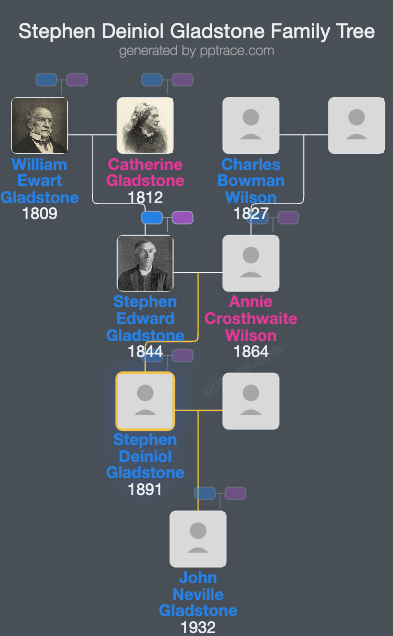 Stephen Deiniol Gladstone family tree overview