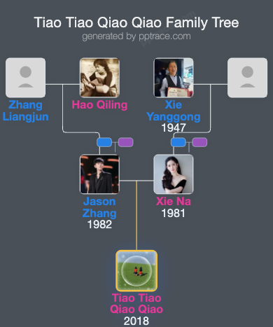 Tiao Tiao Qiao Qiao family tree overview