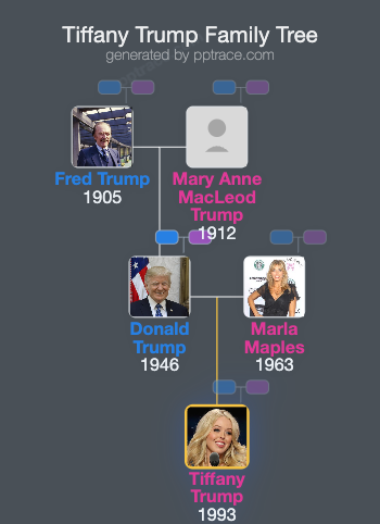 Tiffany Trump family tree overview