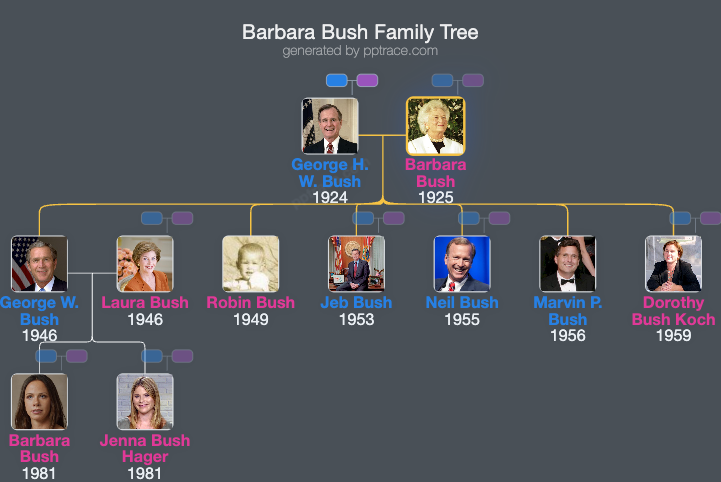 Barbara Bush family tree overview
