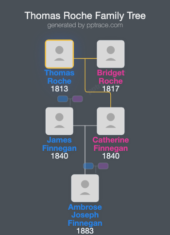 Thomas Roche family tree overview