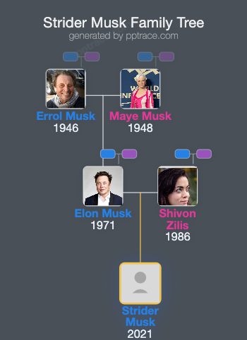 Strider Musk family tree overview