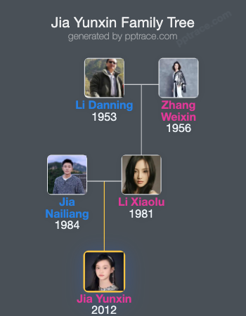 Jia Yunxin family tree overview