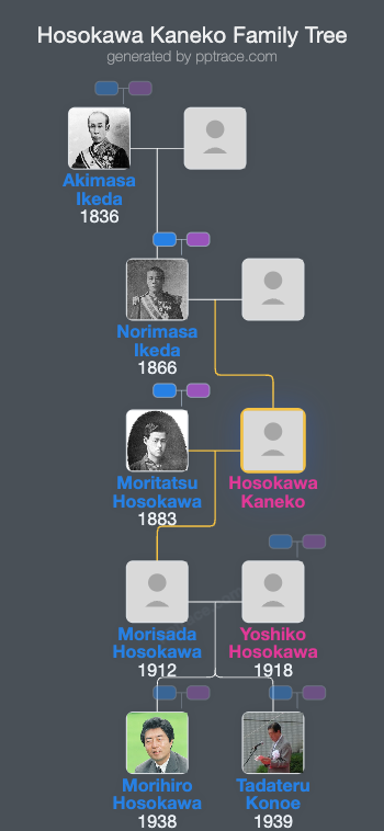 Hosokawa Kaneko family tree overview