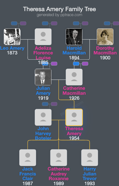 Theresa Amery family tree overview