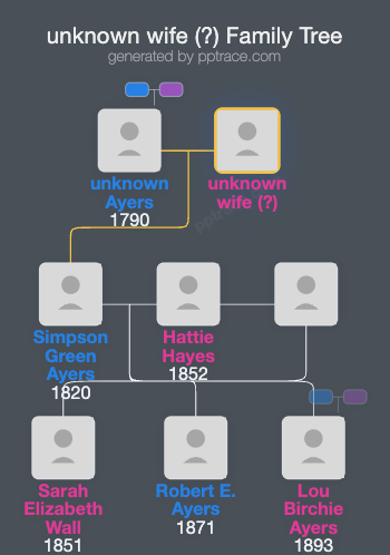 Unknown Wife (?) family tree overview