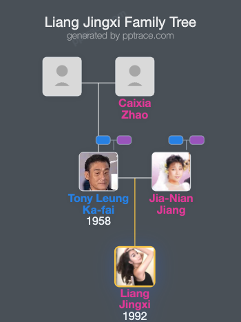Liang Jingxi family tree overview