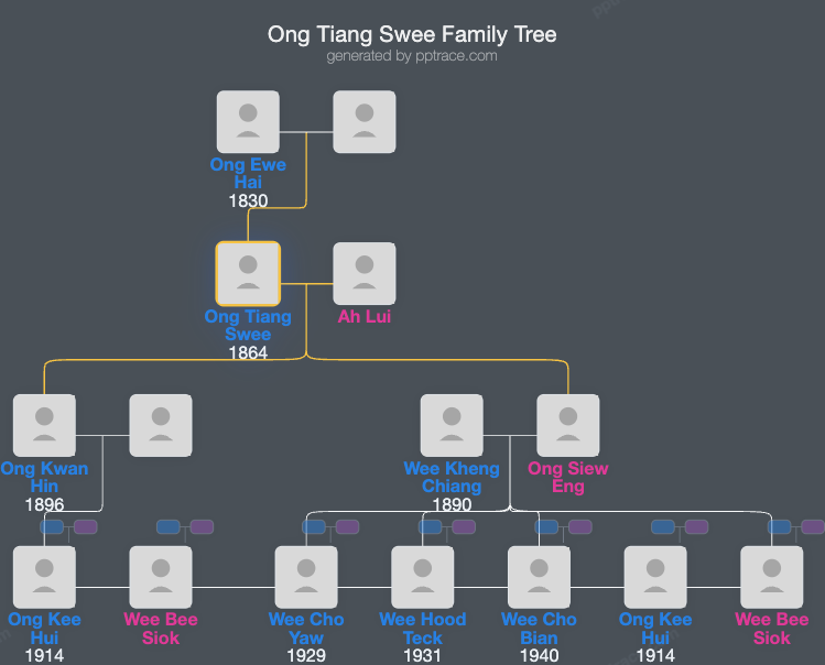 Ong Tiang Swee family tree overview