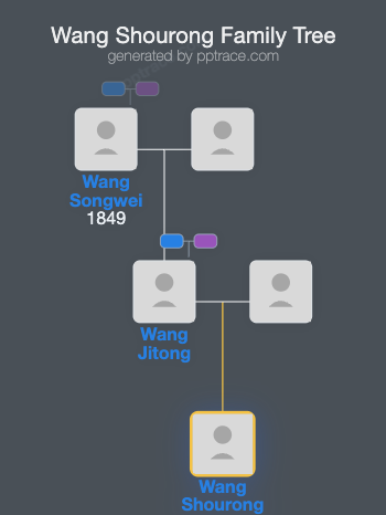 Wang Shourong family tree overview