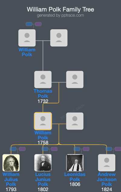 William Polk family tree overview