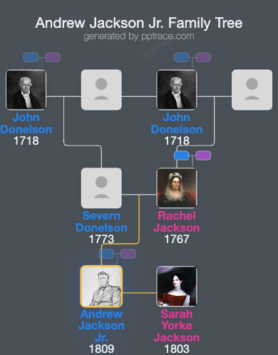 Andrew Jackson Jr. family tree overview