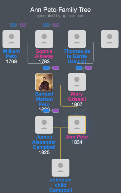 Ann Peto family tree overview