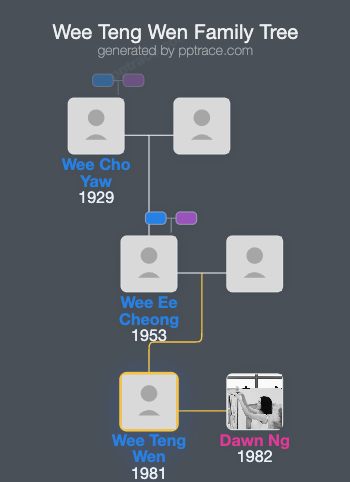 Wee Teng Wen family tree overview