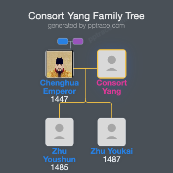 Consort Yang family tree overview