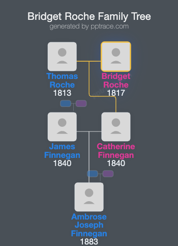 Bridget Roche family tree overview