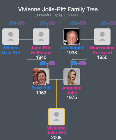 Vivienne Jolie-Pitt family tree overview