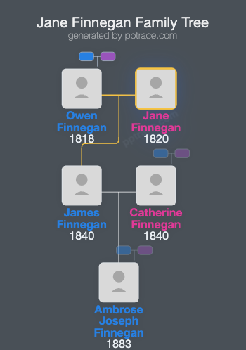 Jane Finnegan family tree overview
