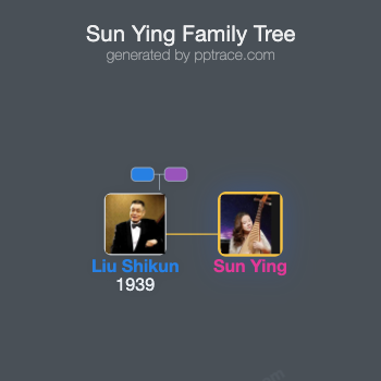 Sun Ying family tree overview