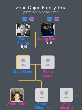 Zhao Dajun family tree overview