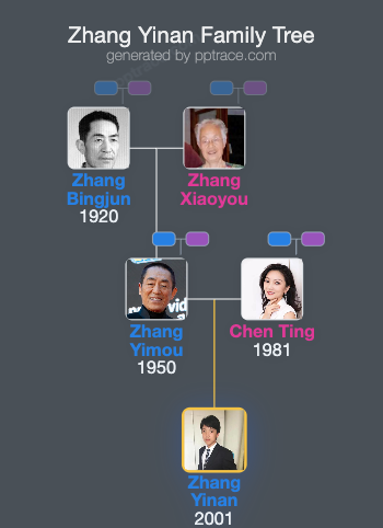 Zhang Yinan family tree overview