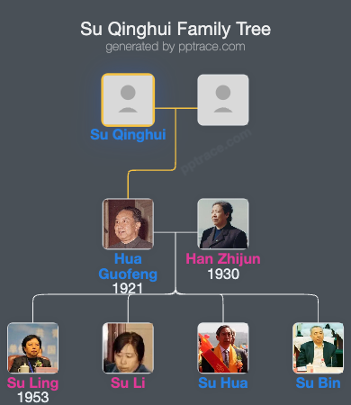 Su Qinghui family tree overview