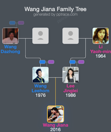 Wang Jiana family tree overview