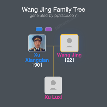 Wang Jing family tree overview