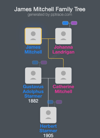 James Mitchell family tree overview