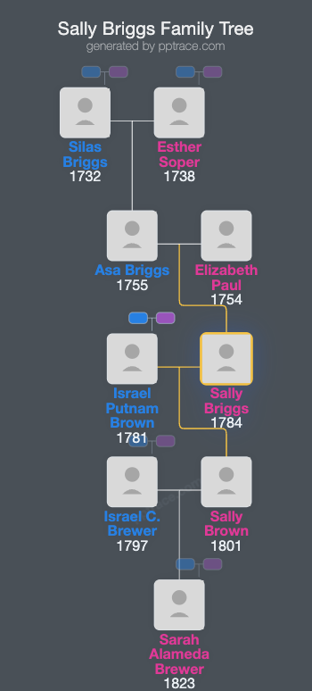 Sally Briggs family tree overview