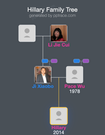 Hillary family tree overview
