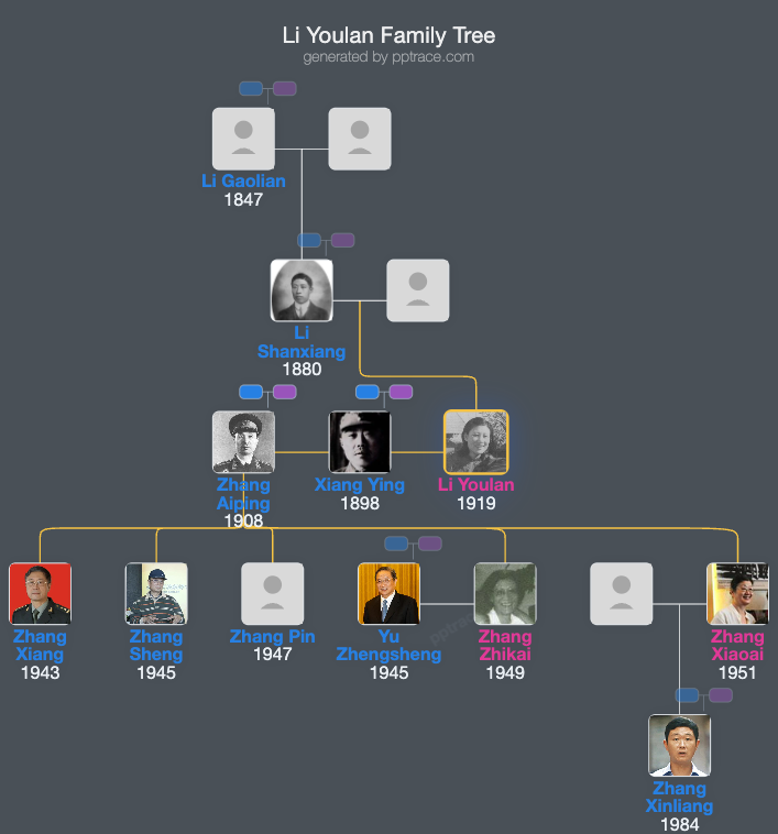 Li Youlan family tree overview