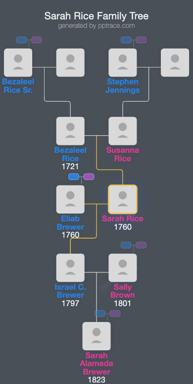 Sarah Rice family tree overview