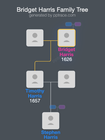 Bridget Harris family tree overview