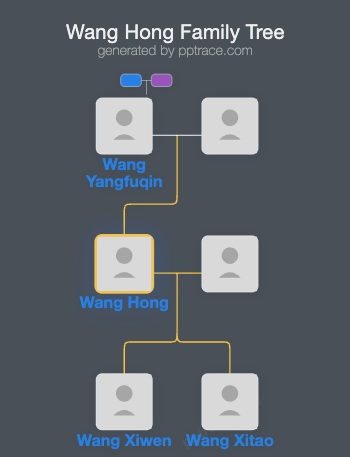 Wang Hong family tree overview