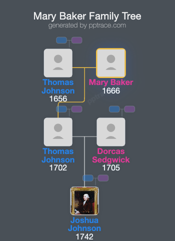 Mary Baker family tree overview