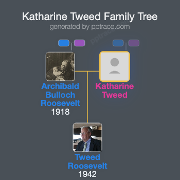 Katharine Tweed family tree overview