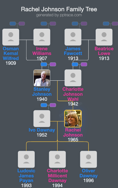 Rachel Johnson family tree overview