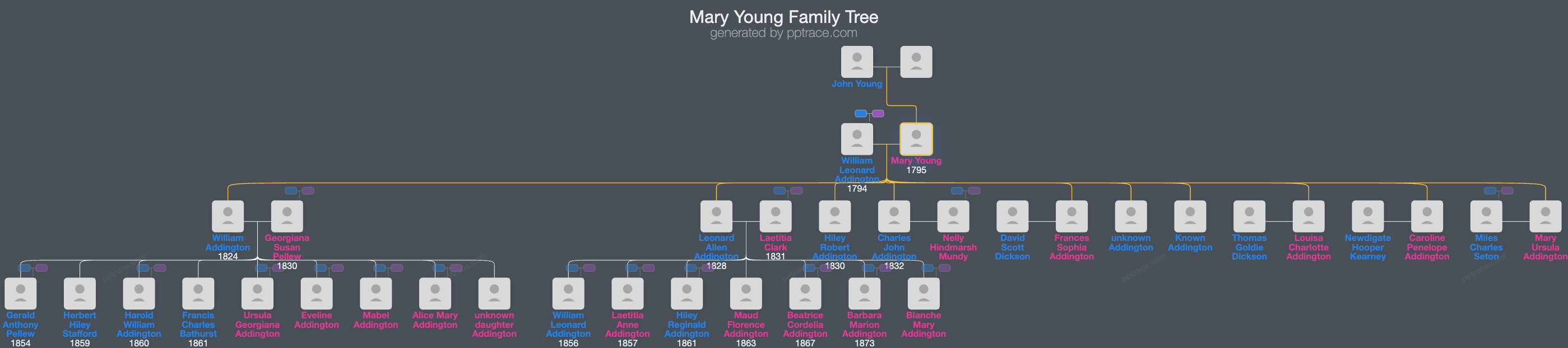 Mary Young family tree overview