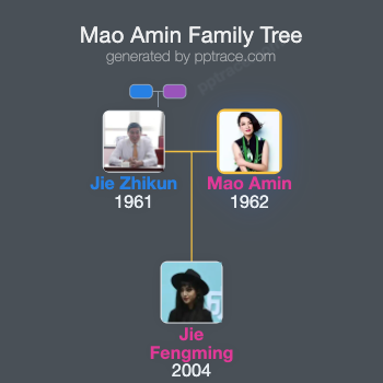 Mao Amin family tree overview