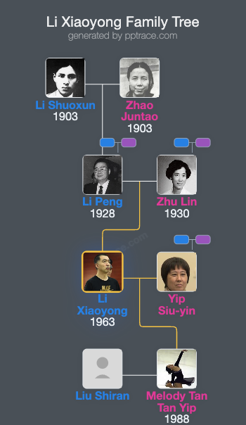 Li Xiaoyong family tree overview