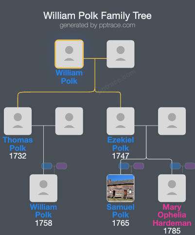 William Polk family tree overview