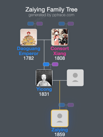Zaiying family tree overview