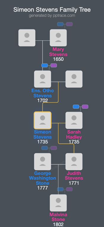 Simeon Stevens family tree overview