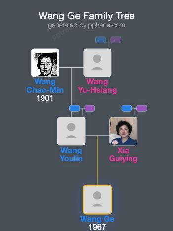 Wang Ge family tree overview
